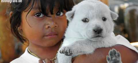 Kind mit Hund auf Bali