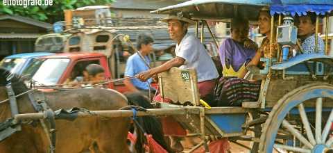 Pferdekutsche in Burma