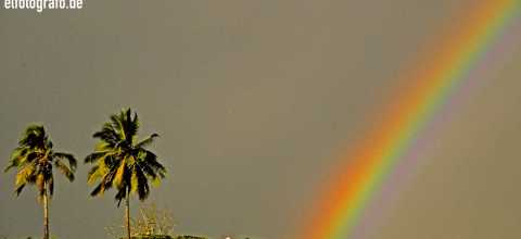 Regenbogen auf Hawaii