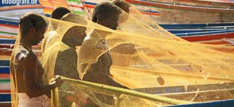 Fischernetz Reparatur in Indien