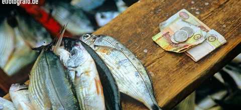 Fischmarkt auf den Kapverden