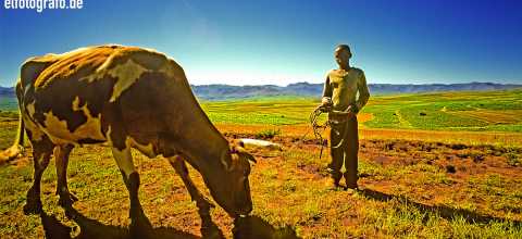 Landwirt in Lesotho